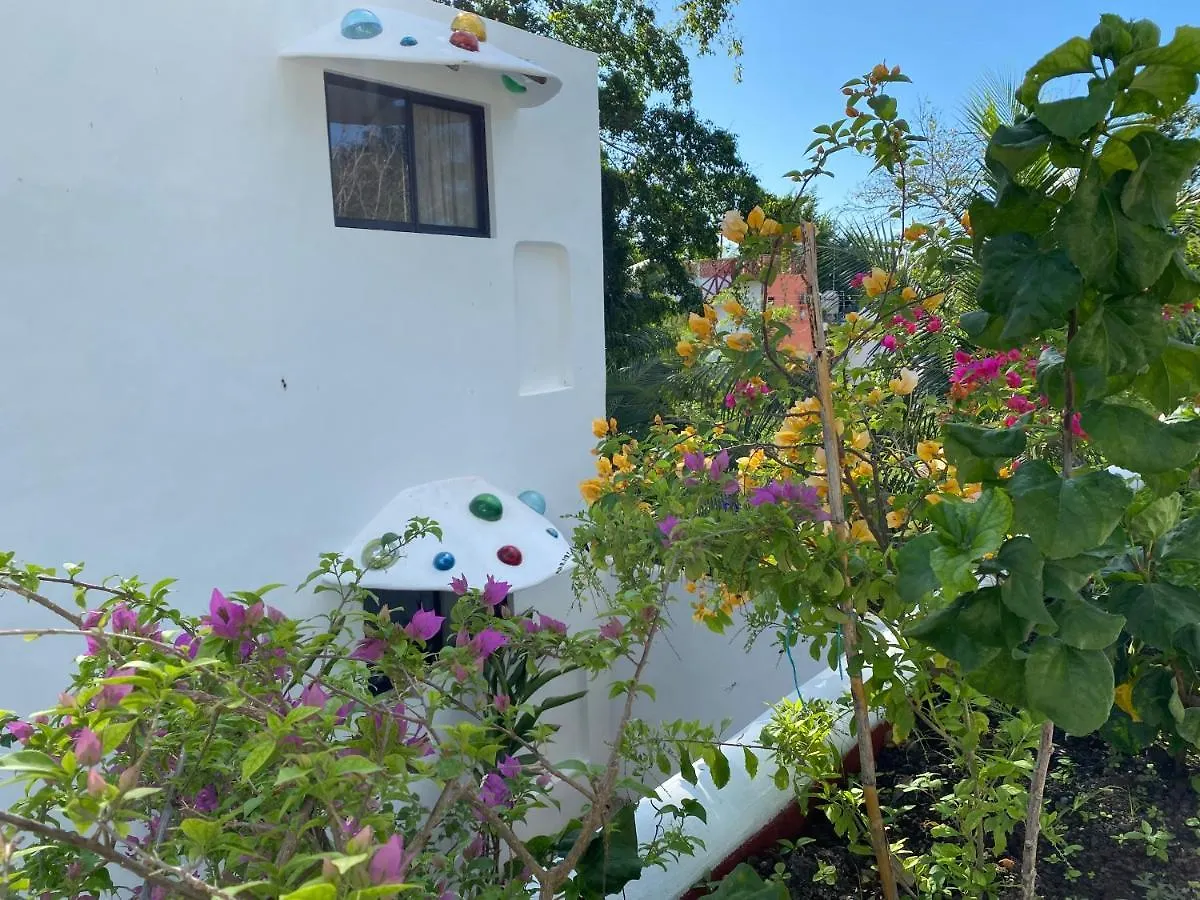 Hotel Maison Bacalar