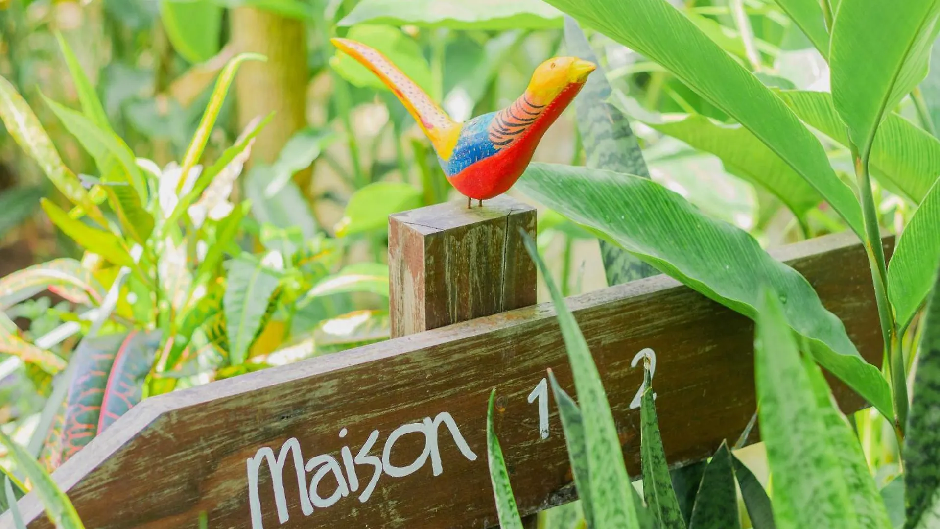 Hotel Maison Bacalar