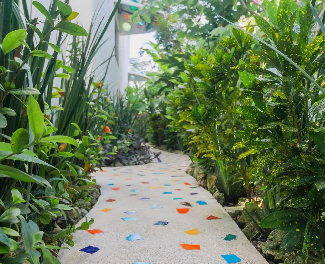 Maison Bacalar