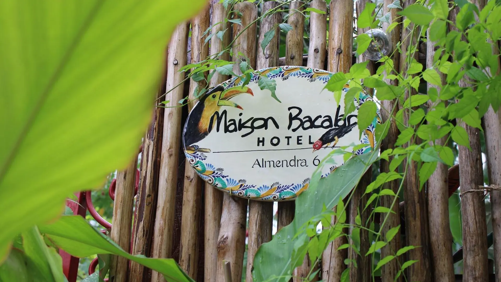 Maison Bacalar