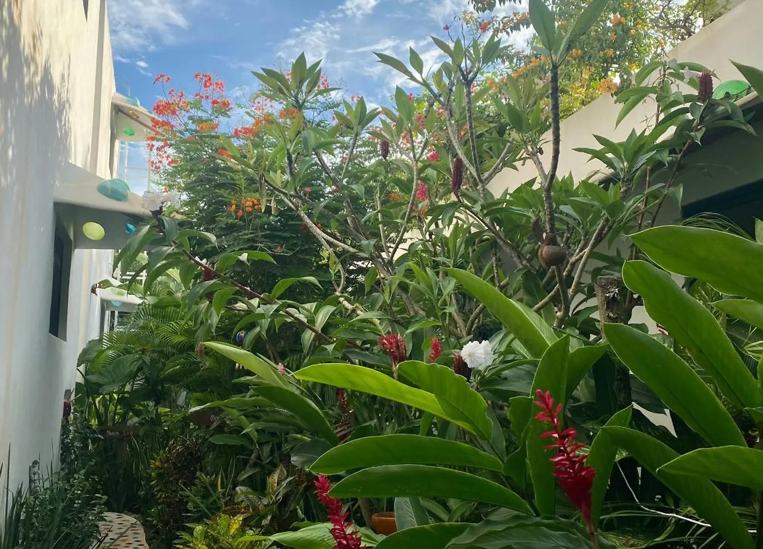 Maison Bacalar Mexique