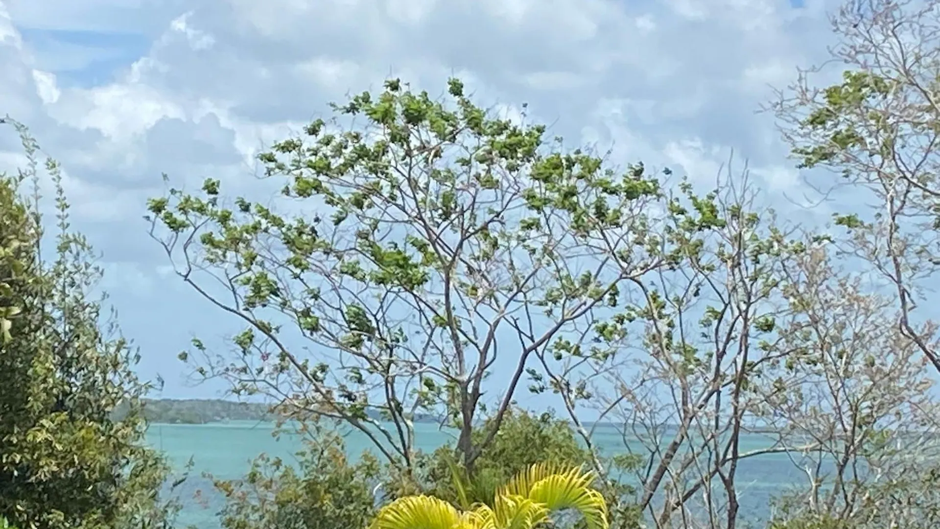 Maison Bacalar Mexique