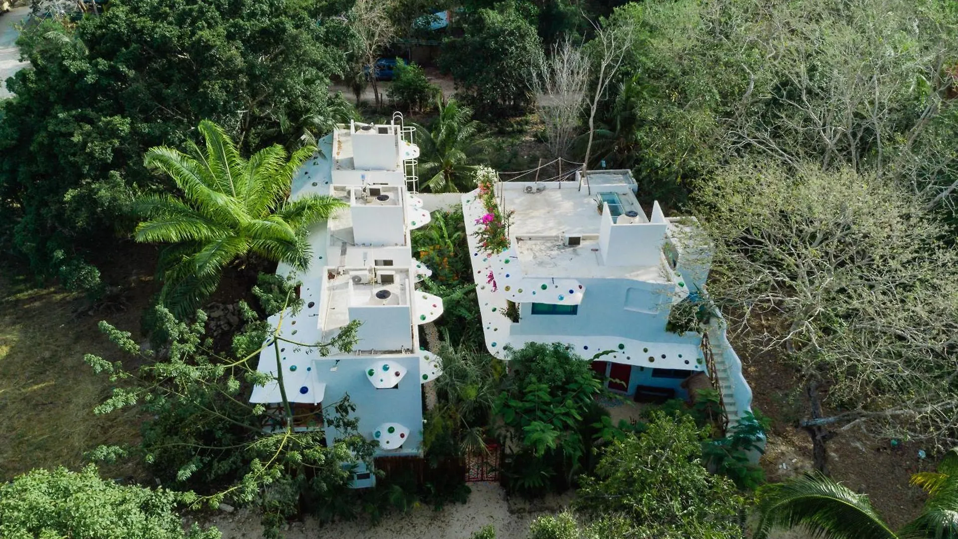 Maison باكالار