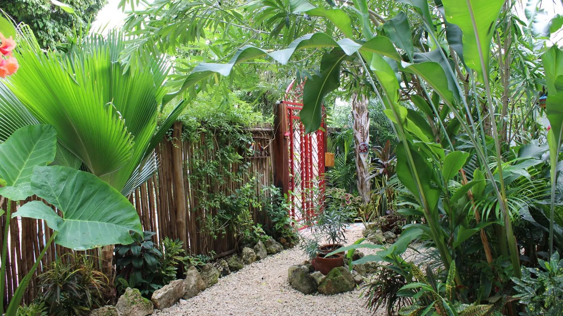 Otel Maison Bacalar